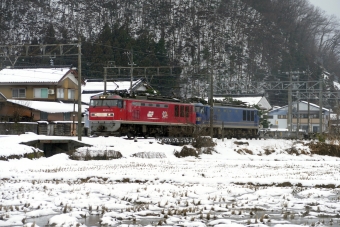 JR貨物 EF510形電気機関車 EF510-9,513 鉄道フォト・写真 by norikadさん 南条駅：2019年01月28日12時ごろ