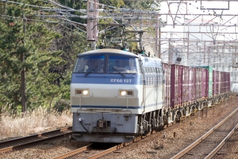 JR貨物 国鉄EF66形電気機関車 EF66-127 鉄道フォト・写真 by norikadさん 舞子駅：2019年01月24日12時ごろ