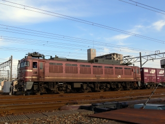JR貨物 国鉄EF81形電気機関車 EF81-117 鉄道フォト・写真 by norikadさん 敦賀駅：2006年03月24日16時ごろ