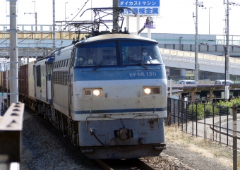 JR貨物 国鉄EF66形電気機関車 EF66-120 鉄道フォト・写真 by norikadさん 土山駅：2016年11月02日12時ごろ