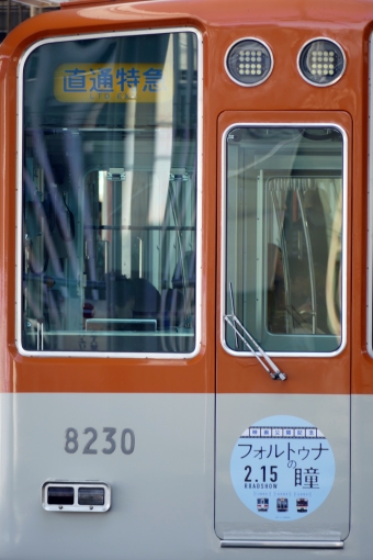 阪神電鉄 阪神8201形 8230 鉄道フォト・写真 by norikadさん 尼崎駅 (阪神)：2019年02月02日14時ごろ