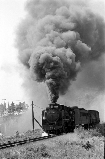 国鉄D51形蒸気機関車 D51-940 鉄道フォト・写真 by norikadさん 柘植駅：1972年10月01日00時ごろ