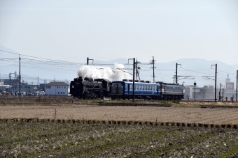 JR西日本 D51形 SL試運転 D51 200 鉄道フォト・写真 by norikadさん 長浜駅：2019年03月05日12時ごろ