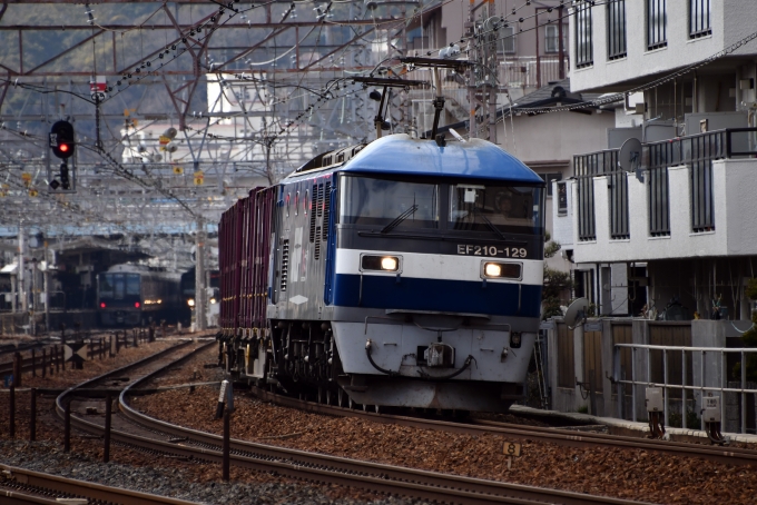 JR貨物 EF210形 EF210-129 鉄道フォト・写真 by norikadさん 須磨駅：2019年02月10日13時ごろ