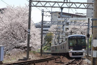 神戸電鉄6500系 鉄道フォト・写真
