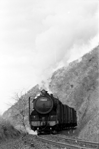 国鉄9600形蒸気機関車 79653 鉄道フォト・写真 by norikadさん 立野駅 (熊本県|JR)：1972年12月29日00時ごろ