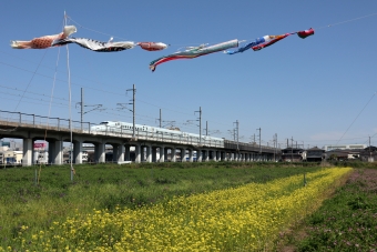 JR九州 N700系新幹線電車 鉄道フォト・写真 by norikadさん 西明石駅：2022年04月30日14時ごろ
