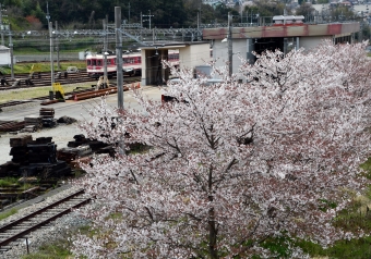 神戸電鉄 1100形 1120 鉄道フォト・写真 by norikadさん ：2019年04月15日12時ごろ