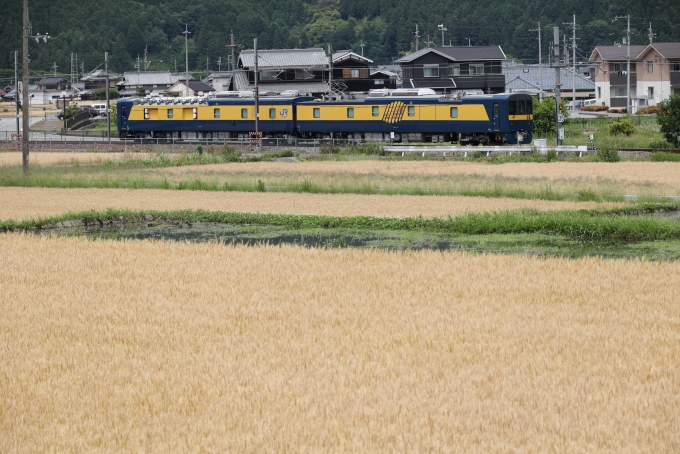 JR西日本 DEC741形 DEC741-1 鉄道フォト・写真 by norikadさん 新野駅 (兵庫県)：2022年06月01日13時ごろ
