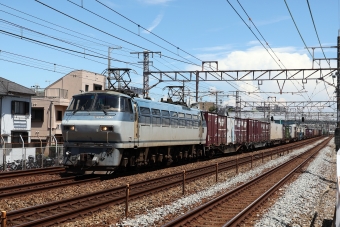 JR貨物 国鉄EF66形電気機関車 EF66-126 鉄道フォト・写真 by norikadさん 大蔵谷駅：2022年07月28日13時ごろ