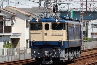 JR貨物 国鉄EF65形電気機関車 EF65-1135 鉄道フォト・写真 by norikadさん 大蔵谷駅：2022年07月28日13時ごろ