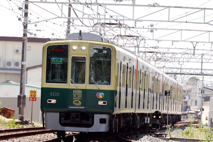 鉄道フォト・写真：阪神電鉄 阪神8000系電車 8220 霞ヶ丘駅 (兵庫県) 鉄道フォト・写真 by norikadさん - 撮影日 2022/08/11 10:07