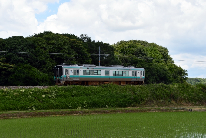 JR西日本125系電車 鉄道フォト・写真 by norikadさん 小野町駅：2019年06月24日11時ごろ