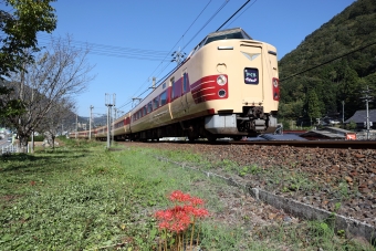 JR西日本 国鉄381系電車 やくも(特急) 鉄道フォト・写真 by norikadさん 木野山駅：2022年10月01日09時ごろ