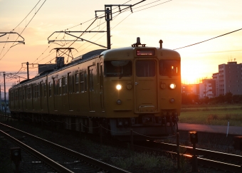 JR西日本 国鉄115系電車 鉄道フォト・写真 by norikadさん 中庄駅：2022年10月02日17時ごろ