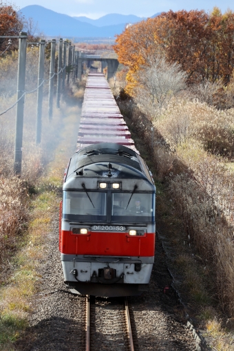 JR貨物 DF200形 DF200-53 鉄道フォト・写真 by norikadさん 南千歳駅：2022年10月30日12時ごろ