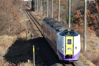 キハ261-1205 鉄道フォト・写真