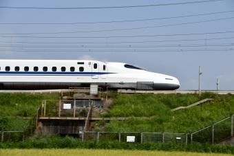 JR東海 700系新幹線電車 鉄道フォト・写真 by norikadさん 米原駅 (JR)：2019年08月18日09時ごろ