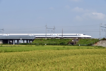 JR東海 N700系新幹線電車 鉄道フォト・写真 by norikadさん 米原駅 (JR)：2019年08月18日09時ごろ