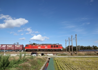 JR貨物 EF510形 EF510-23 鉄道フォト・写真 by norikadさん 水橋駅：2022年11月26日12時ごろ