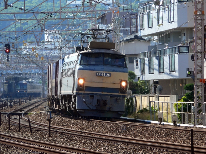 JR貨物 国鉄EF66形電気機関車 EF66-26 鉄道フォト・写真 by norikadさん 須磨駅：2013年10月06日14時ごろ