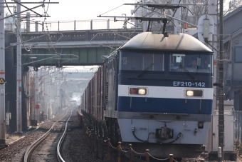 JR貨物 EF210形 EF210-142 鉄道フォト・写真 by norikadさん 土山駅：2022年12月28日11時ごろ