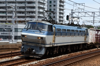JR貨物 国鉄EF66形電気機関車 EF66-113 鉄道フォト・写真 by norikadさん 垂水駅：2019年05月15日12時ごろ