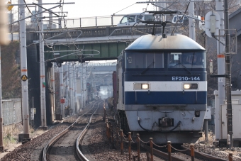 JR貨物 EF210形 EF210-144 鉄道フォト・写真 by norikadさん 土山駅：2022年12月28日12時ごろ