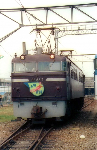 JR貨物 国鉄EF65形電気機関車 EF65-9 鉄道フォト・写真 by norikadさん 吹田駅 (JR)：1989年08月19日00時ごろ
