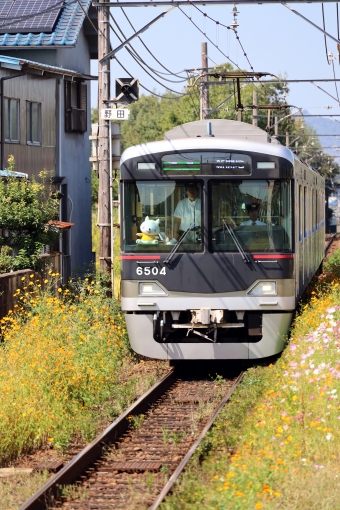 神戸電鉄6500形(Mc2) 6504 鉄道フォト・写真 by norikadさん 葉多駅：2019年10月10日11時ごろ