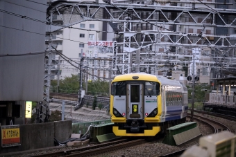 JR東日本E257系電車 鉄道フォト・写真 by norikadさん 五反田駅 (JR)：2019年10月18日16時ごろ