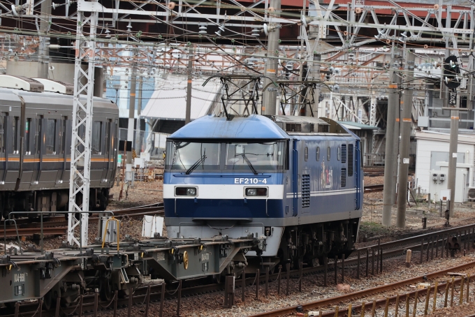 鉄道フォト・写真：JR貨物EF210形電気機関車 EF210-4 西明石駅 鉄道フォト・写真 by norikadさん - 撮影日 2023/02/14 10:34