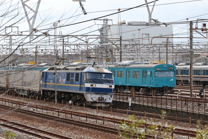 鉄道フォト・写真：JR貨物EF210形電気機関車 EF210-315 西明石駅 鉄道フォト・写真 by norikadさん - 撮影日 2023/02/14 11:18