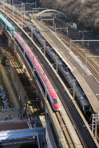 JR東日本 E6系新幹線電車 鉄道フォト・写真 by norikadさん 王子駅 (JR)：2016年03月26日14時ごろ