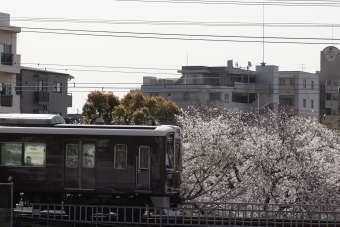 阪急電鉄 鉄道フォト・写真 by norikadさん 王子公園駅：2023年03月28日09時ごろ