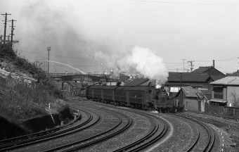 国鉄C11形蒸気機関車 C11-349 鉄道フォト・写真 by norikadさん 直方駅 (JR)：1971年12月29日00時ごろ