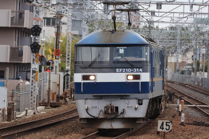 JR貨物 EF210形 EF210-314 鉄道フォト・写真 by norikadさん 須磨駅：2023年04月17日11時ごろ