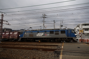 JR貨物 EF210形 EF210-161 鉄道フォト・写真 by norikadさん 須磨海浜公園駅：2020年01月15日12時ごろ