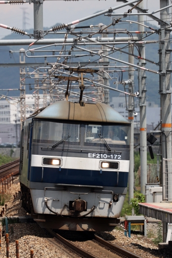 JR貨物 EF210形 EF210-172 鉄道フォト・写真 by norikadさん 東姫路駅：2023年06月16日13時ごろ