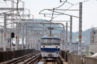JR貨物 EF210形 EF210-351 鉄道フォト・写真 by norikadさん 東姫路駅：2023年06月16日13時ごろ