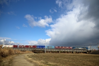 JR貨物 EF210形 EF210-141 鉄道フォト・写真 by norikadさん 網干駅：2020年01月21日11時ごろ
