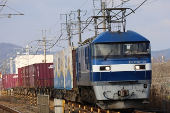 JR貨物 EF210形 EF210-14 鉄道フォト・写真 by norikadさん 網干駅：2020年01月21日10時ごろ