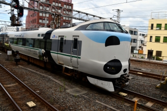 JR西日本 モハ286形 モハ286-12 鉄道フォト・写真 by norikadさん 和歌山駅 (JR)：2019年08月12日15時ごろ