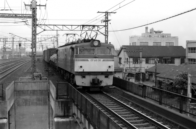 国鉄EF60形電気機関車 EF60-36 鉄道フォト・写真 by norikadさん 明石駅：1974年05月12日00時ごろ