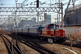 JR西日本 国鉄DD51形ディーゼル機関車 DD51-1192 鉄道フォト・写真 by norikadさん 尼崎駅 (JR)：2019年12月25日11時ごろ