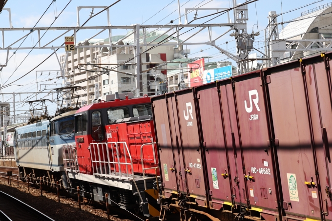 鉄道フォト・写真：JR貨物HD300形機関車 HD300-16 垂水駅 鉄道フォト・写真 by norikadさん - 撮影日 2023/09/17 13:09