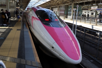 JR西日本 500系新幹線電車 鉄道フォト・写真 by norikadさん 新大阪駅 (JR)：2020年02月21日11時ごろ