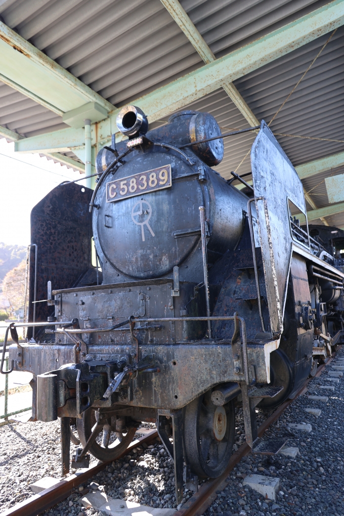 国鉄C58形蒸気機関車 C58-389 鉄道フォト・写真 by norikadさん ：2023年11月07日13時ごろ