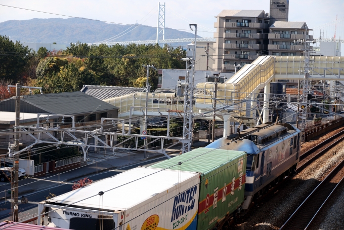 鉄道フォト・写真：JR貨物EF210形電気機関車 東垂水駅 鉄道フォト・写真 by norikadさん - 撮影日 2023/11/30 11:29