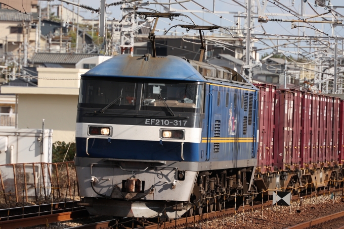 鉄道フォト・写真：JR貨物EF210形電気機関車 EF210-317 垂水駅 鉄道フォト・写真 by norikadさん - 撮影日 2023/11/30 13:25